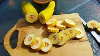 Армянский огурец🍈 (змеевидная дыня)Выращивание в Беларуси,  процесс роста и дегустация, впечатления