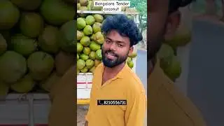 Bangalore Karnataka Top Quality Tender coconut| Fresh Nariyal Pani #vickyagro #coconut#banglore