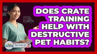 Does Crate Training Help With Destructive Pet Habits?