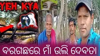 ଵରଗଛରେ🙏 ମାଁ / ଉଲି ଦେବତା