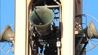 Campane di Cerro Maggiore (MI) - Distesa completa