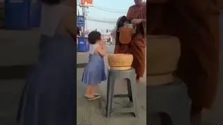 so beautiful little girl offering food to monks during alms round