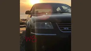 Passat W8