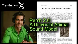 Perch 2.0: универсальная модель звуков животных