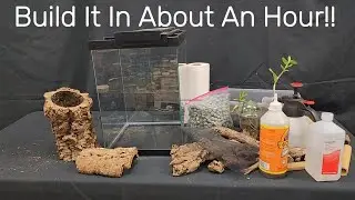 Mourning Gecko Enclosure in About an Hour
