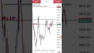 USD CPI 13 NOV 2024😕🙃