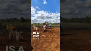 Collecting bog iron, but what is it.....I hope this will be a little bit more information 🔥