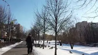 Winter walk Kyiv 4K