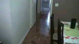 Slowmotion sony sr12