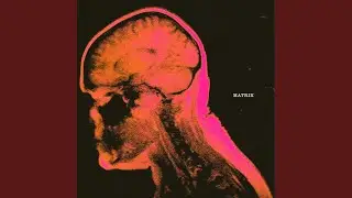 Matrix