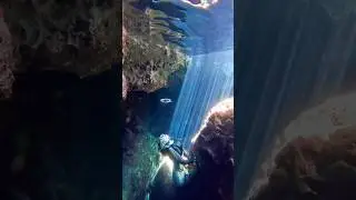 🫧☀️ #underwater #underwatercave #freediver #freediving