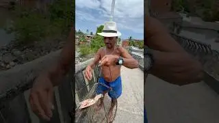 VEJA COMO &Eacute; FEITA A PESCARIA DE SIRI NA BAHIA USANDO SIRIPOIA