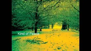 Pat D and Lady Paradox - King Of Peace