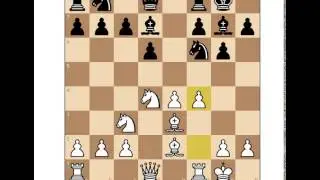 Blitz Kibitizing of some GMs, IMs, and FM PenguinGM playing