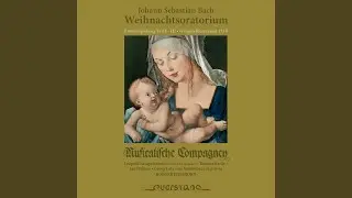 Weihnachtsoratorium, Teil III, BWV 248: No. 24, da capo, Herrscher des Himmel, erh&ouml;re das Lallen