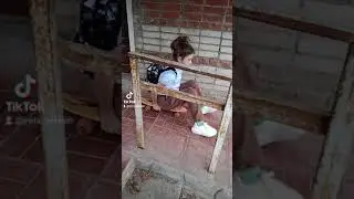 гуляем с ЛяГуШкЕй( настя)