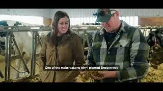 What Canadian Farmers are Saying About Enogen&trade; Corn
