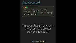 Python Any Keyword Expert