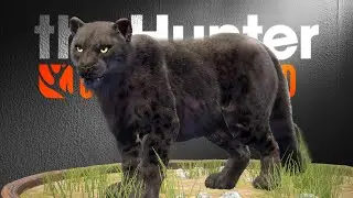 MELANISTISCHER Schneeleopard?! | theHunter Call of the Wild
