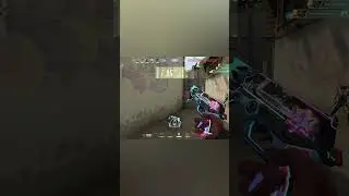 Phoenix Molly Wallbang