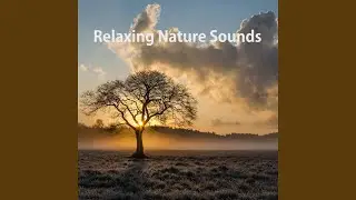 Pure Bird Sounds
