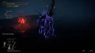 The Deathblight aura combo is OP in Elden Ring...