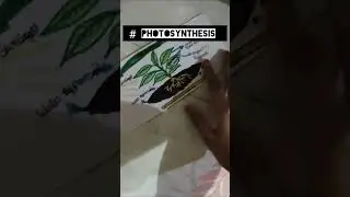 #Photosynthesis#ScienceDrawing#BiologyArt#PlantLife#EducationalDrawing#ScienceArt