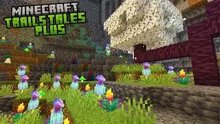 I ADDED Features Minecraft Won't | Trails and Tales + | Update 4