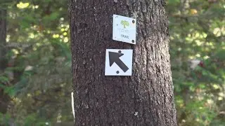 Maine could provide over $7.5M for trail design and development projects