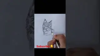 Satisfying Cat 😺 Drawing #drawing#shorts  #cat #satisfying#ytshorts