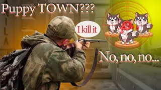 Обзор приложения Puppy Town, ВЫВЕЛ ДЕНЬГИ? ВЫИГРАЛ АЙФОН?