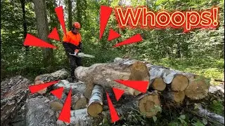 Cutting Birch logs in the Forest - Watch Stihl MS 362 in Action of Firewood Prep! Part 2