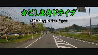 Driving in Kagoshima in the Difficult Dialect #Japan#dialects