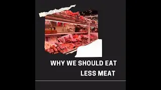 why you should eat more vegetables than meat