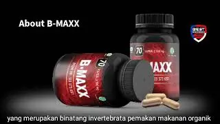 manfaat B-MAXX produk PT best corpuration ECO sinergi buat kesehatan