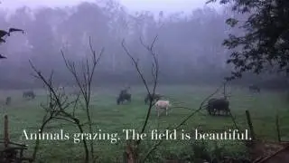 Khmu People | Hoify Village, Laos | ஹாய்ஃபை கிராமம், லாவோ
