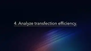 Calculating GFP transfection efficiency