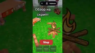 обзор на скрипт