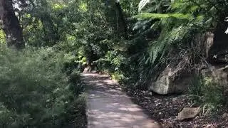 Cremorne Point walk