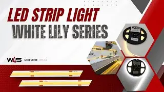 Achieve Smooth, Flicker-Free Lighting with White Lily COB LED Strip