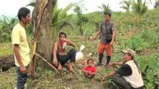 Pailig and EcoSolidar in Mindanao, Philippines