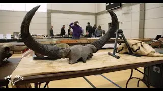 Dark River Artifact Show 2023