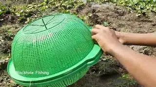 Searching Catfish in Dry Soil - Awesome Fishing in River Water
