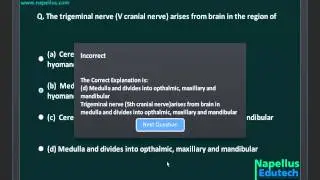 Nervous System And Sense Organ | Smart Test-4 | AIIMS, PMT, AIPMT Video Solution | Biology