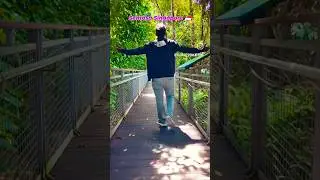 Sentosa Island Singapore #singapore #travel #trending #nature #sg #youtubeshorts #shortvideo #shorts
