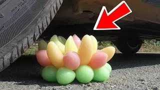 Experiment: Car vs fruits jelly