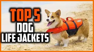 ✅Best Dog Life Jackets in 2023
