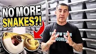No More Snakes! + Moving Snakes And Utrasounding