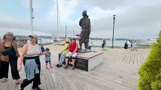 Celebrating Love: Waterfront Nova Scotia 🇨🇦 | Aug 14,2025