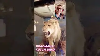 PRAGMAHAL BHUJ #bhuj #kutch #suhanasafarwithjatinshah